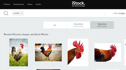 Ce este microstock, photostocks, microstock