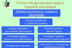 Care este normele interne ale organizației, și de către cine au fost aprobate