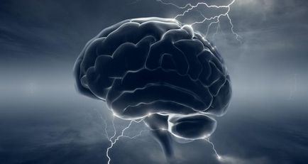 Fapte și cifre despre creierul uman - articol