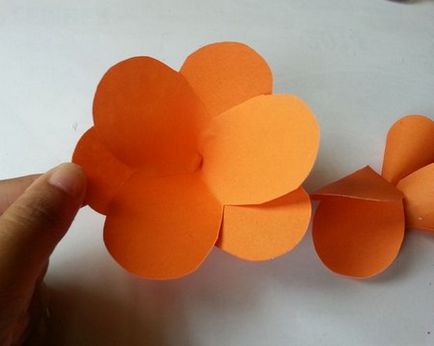 Flori de master-class de hârtie