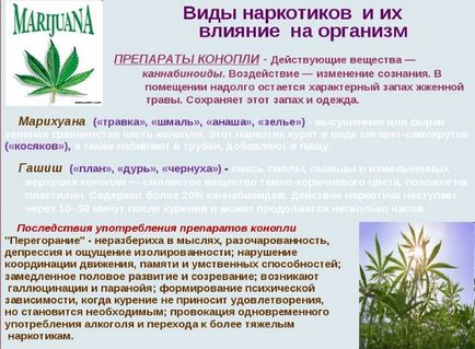 Efectul de marijuana asupra organismului
