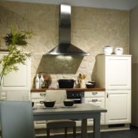 Design-un mic fotografii de bucătărie, idei moderne în 2017, decorațiuni interioare