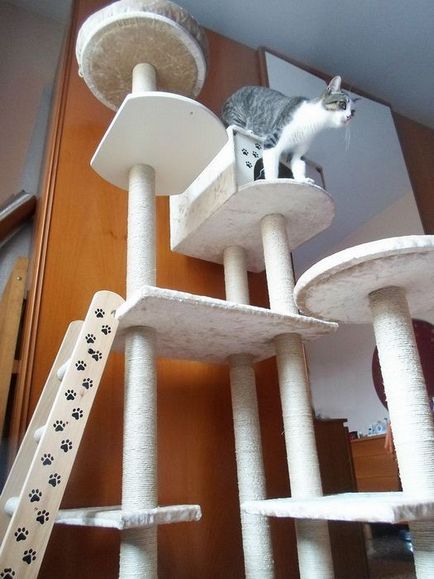 complex de joc pentru pisica cu propriile sale mâini - Maisonette