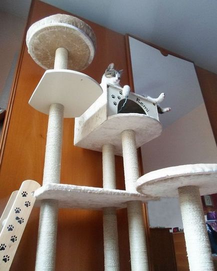 complex de joc pentru pisica cu propriile sale mâini - Maisonette
