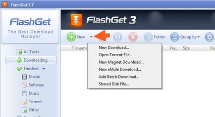 FlashGet ceea ce acest program este și dacă este necesar (click dreapta) FlashGet ceea ce acest program este și dacă este necesar