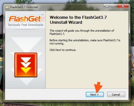 FlashGet ceea ce acest program este și dacă este necesar (program) FlashGet ceea ce acest program este și dacă este necesar