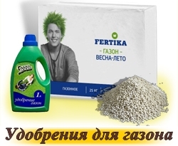 iarbă de gazon - cumpăra semințe în magazin on-line „gazon World“, livrare rapida (cumparare) iarbă de gazon - cumpăra semințe în magazin on-line „de gazon World“, livrare rapida