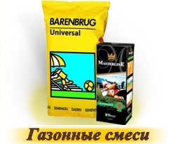 iarbă de gazon - cumpăra semințe în magazin on-line „gazon World“, livrare rapida (cumparare) iarbă de gazon - cumpăra semințe în magazin on-line „de gazon World“, livrare rapida