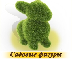 iarbă de gazon - cumpăra semințe în magazin on-line „gazon World“, livrare rapida (iarba) iarbă de gazon - cumpăra semințe în magazin on-line „de gazon World“, livrare rapida