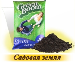 iarbă de gazon - cumpăra semințe în magazin on-line „gazon World“, livrare rapida (iarba) iarbă de gazon - cumpăra semințe în magazin on-line „de gazon World“, livrare rapida