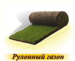 iarbă de gazon - cumpăra semințe în magazin on-line „gazon World“, livrare rapida (iarba) iarbă de gazon - cumpăra semințe în magazin on-line „de gazon World“, livrare rapida
