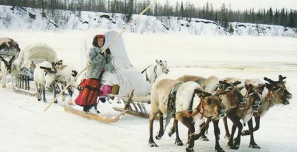 Unde este orașele Peninsula Yamal din Peninsula Yamal