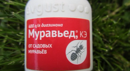 Insecticid instrucțiuni anteater aplicare, descrieri, evaluări (insecticid) instructiuni anteater Insecticid pentru utilizare, descriere, comentarii