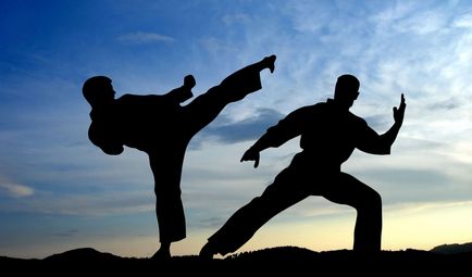 fapte interesante despre karate - un nou erou