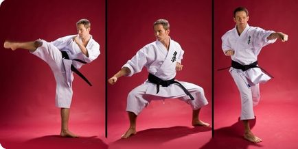 fapte interesante despre karate - un nou erou