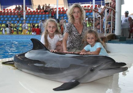Interviu cu un delfin - cum să devină un antrenor de delfini, Crimeea