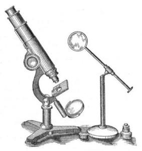 Istoria inventarea microscopului, marile descoperiri ale omenirii