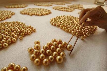 Ca extract (preparat) perle ca perle cultivate, divers perla ama