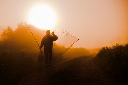 Cum cele mai bune pentru a prinde crap, în vara alege locul și pentru a aborda cu momeală