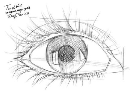 Cum să atragă creion de ochi în etape (cum să atragă un ochi uman cu un creion) Cum să atragă creion de ochi în etape
