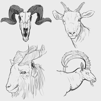 Cum de a desena o capră și o capră pentru copiii treptat creion capre an și imagini de oi amuzant ~