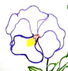 Cum de a desena o floare panseluțe