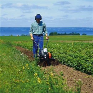 Ce un cultivator este mai bine pentru a da tipuri principale, avantaje și dezavantaje, recenzii