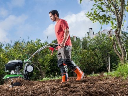 Ce un cultivator este mai bine pentru a da tipuri principale, avantaje și dezavantaje, recenzii