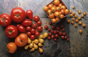 Ceea ce vitamina se gaseste in rosii, compoziția și proprietățile utile de tomate