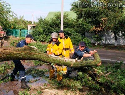 Cum să taie un copac Chainsaw - lucrari de tehnologie de analiză