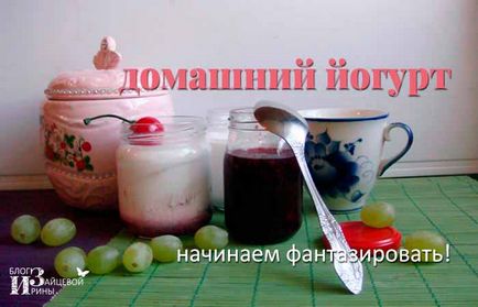 Cum să se pregătească iaurt acasă în iaurt
