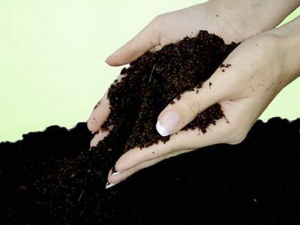 Cum să efectueze cenușărire a solului - reglementări