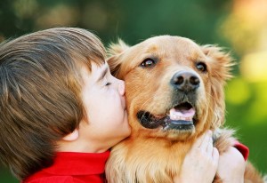 Cum sunt alergic la câini în simptome și tratament pentru copii