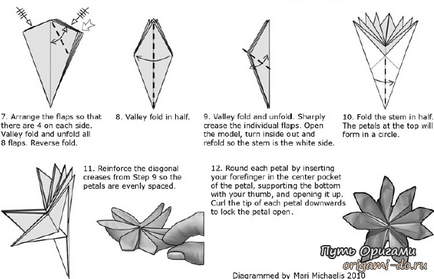 Cum sa faci o floare de hârtie cu ghidul mâinile cu fotografii și video