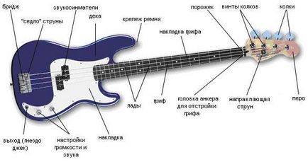 Cum de a alege un chitară bas! Instrucțiuni pentru noul venit!