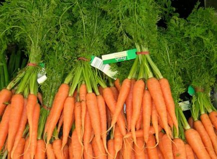 Cum să crească un morcov bun toate etapele de cultivare
