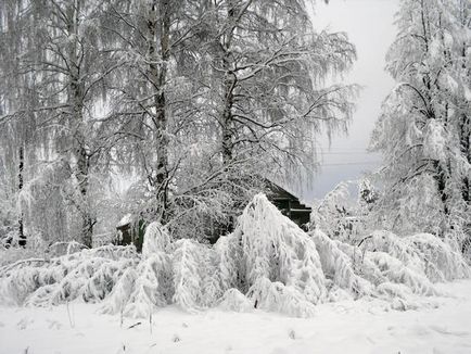 Cum de a supraviețui fără energie electrică în sat acoperite cu zăpadă