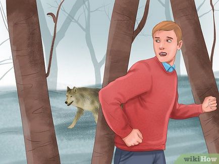 Cum de a supraviețui atacului de lup