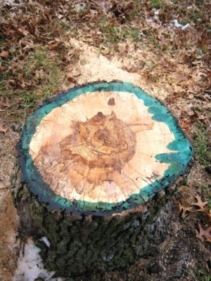 Cum să se usuce lemn, distrugerea chimică a arborilor