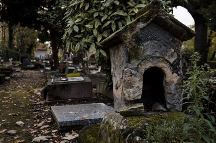 Cimitirul pentru câini din Franța