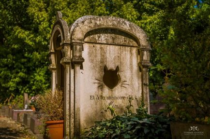Cimitirul pentru câini din Franța