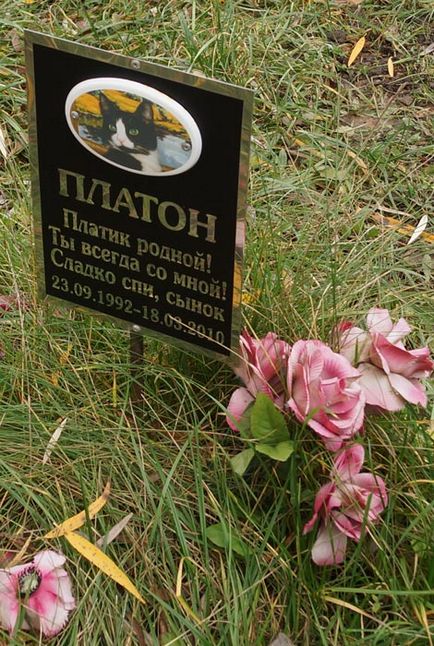 cimitir pentru animale de companie din Moscova, oficial fotografie cimitir pentru animale de companie Khimki