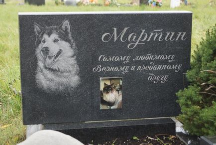 cimitir pentru animale de companie din Moscova, oficial fotografie cimitir pentru animale de companie Khimki