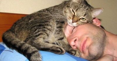 O pisica doarme pe un om cu un cap de semn