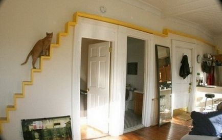 Cat Casa pentru pisici aristocrate