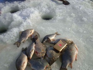 Eșarfă pentru pescuit de iarna cu mâinile sale cum să facă și să-l utilizați pentru pescuit
