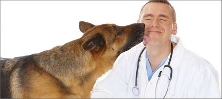 Cine e la veterinar și ce face