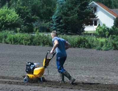 Cultivatore pentru interogatoriu modul de a alege cele mai bune