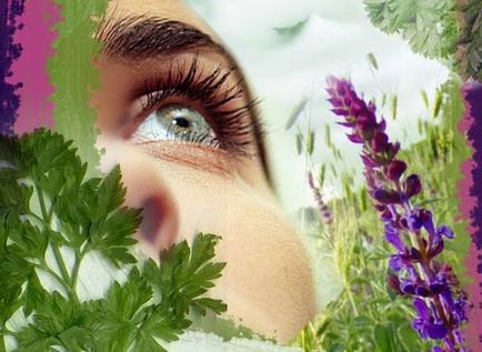 Tratamentul bolilor de ochi - boli oculare de tratament pe bază de plante