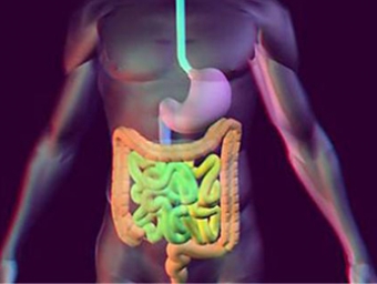 Tratamentul de remedii populare tractului gastro-intestinal